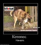 ������ ���������� ����