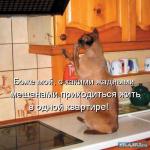 ������ ���������� ����