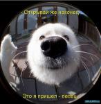 ������ ���������� ����