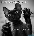 ������ ���������� ����