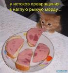 ������ ���������� ����