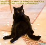 ������ ���������� ����