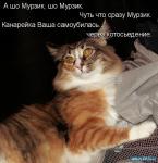 ������ ���������� ����