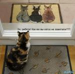 ������ ���������� ����