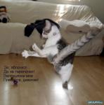 ������ ���������� ����