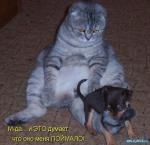 ������ ���������� ����