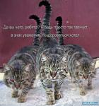 ������ ���������� ����