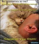 ������ ���������� ����